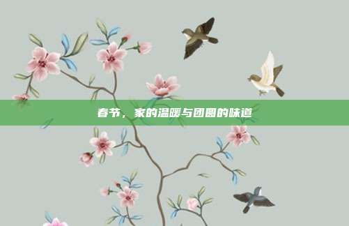 春节,家的温暖与团圆的味道