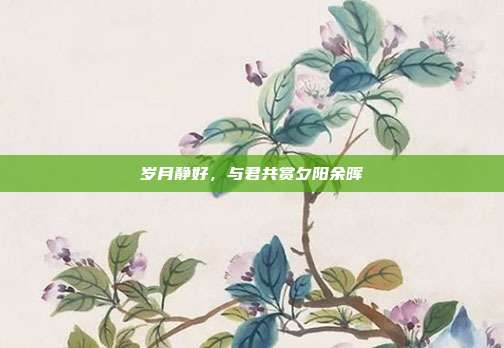 岁月静好，与君共赏夕阳余晖