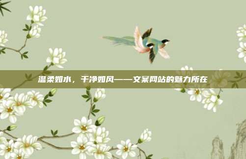 温柔如水,干净如风——文案网站的魅力所在