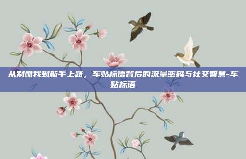 从别吻我到新手上路，车贴标语背后的流量密码与社交智慧-车贴标语