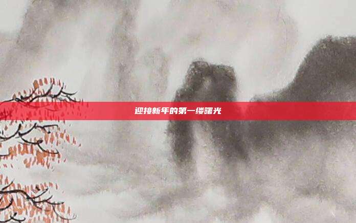 迎接新年的第一缕曙光