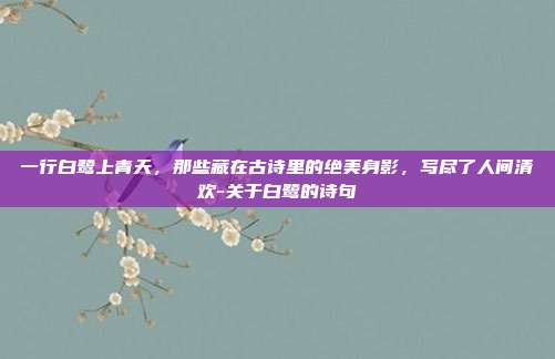 一行白鹭上青天，那些藏在古诗里的绝美身影，写尽了人间清欢-关于白鹭的诗句