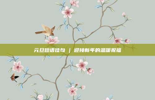 元旦短语佳句 | 迎接新年的温暖祝福