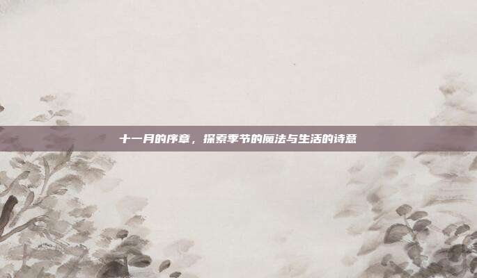 十一月的序章,探索季节的魔法与生活的诗意
