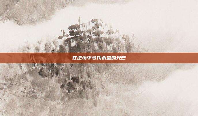 在逆境中寻找希望的光芒