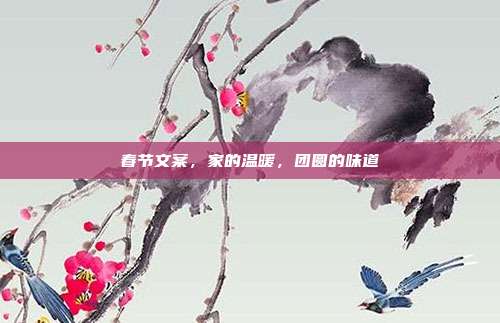 春节文案,家的温暖,团圆的味道