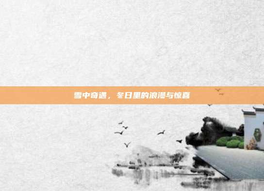 雪中奇遇,冬日里的浪漫与惊喜