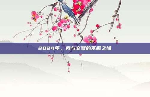 2024年,我与文案的不解之缘
