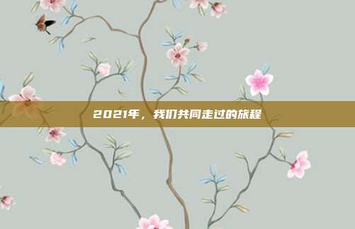 2021年，我们共同走过的旅程
