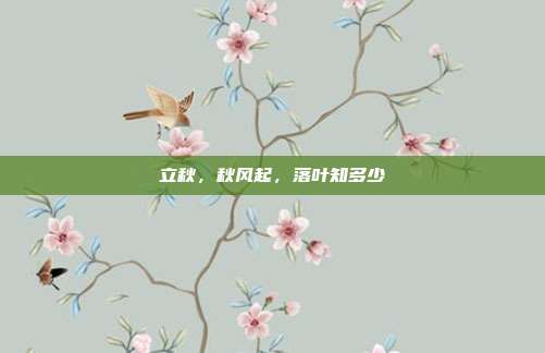 立秋,秋风起,落叶知多少