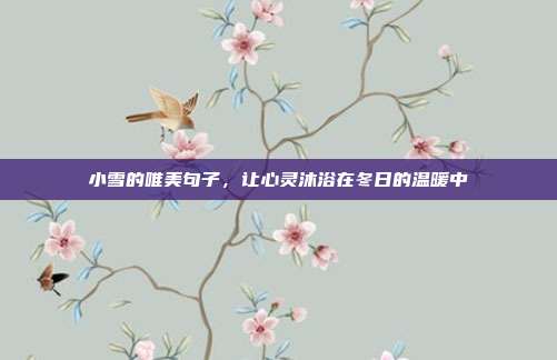 小雪的唯美句子,让心灵沐浴在冬日的温暖中