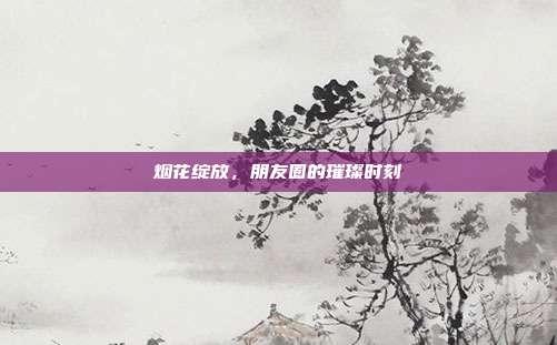 烟花绽放，朋友圈的璀璨时刻