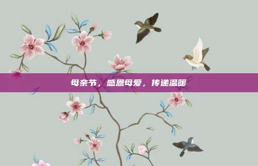 母亲节,感恩母爱,传递温暖