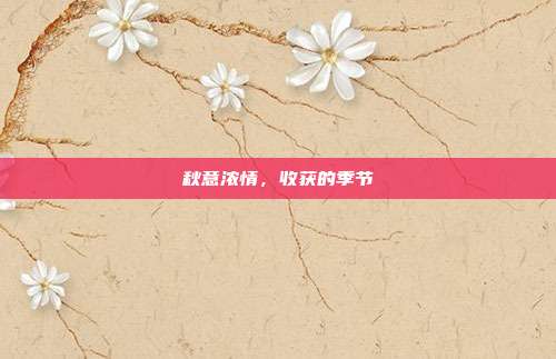 秋意浓情,收获的季节