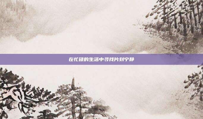 在忙碌的生活中寻找片刻宁静