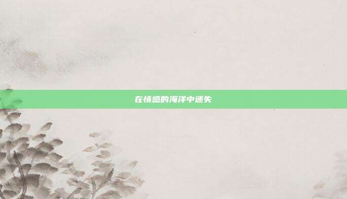 在情感的海洋中迷失