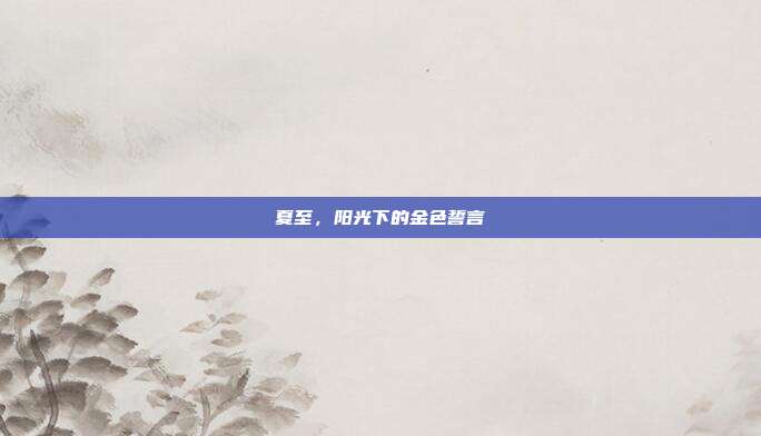 夏至,阳光下的金色誓言