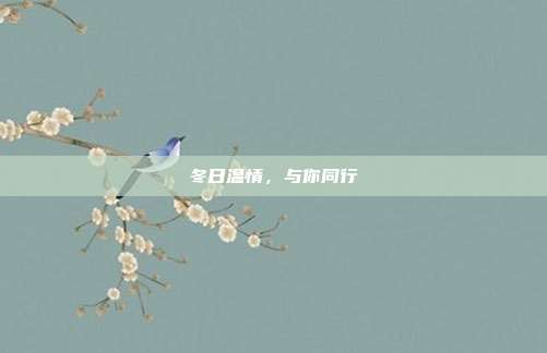 冬日温情，与你同行