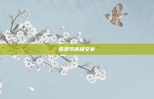 感恩节高级文案