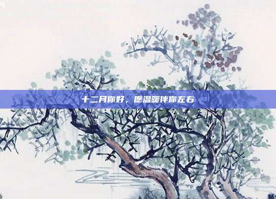 十二月你好,愿温暖伴你左右