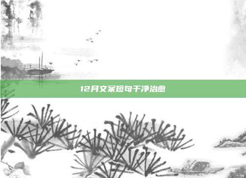 12月文案短句干净治愈