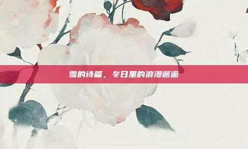雪的诗篇,冬日里的浪漫邂逅