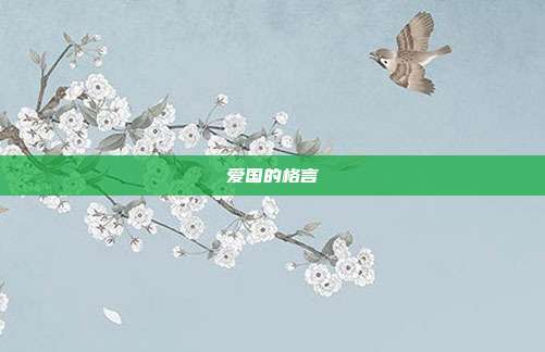 爱国的格言