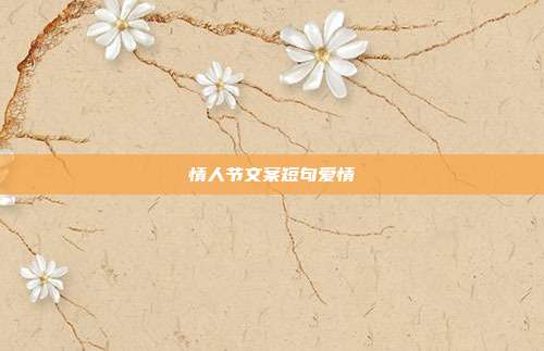 情人节文案短句爱情