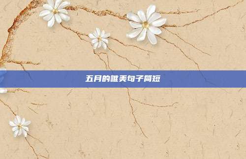 五月的唯美句子简短