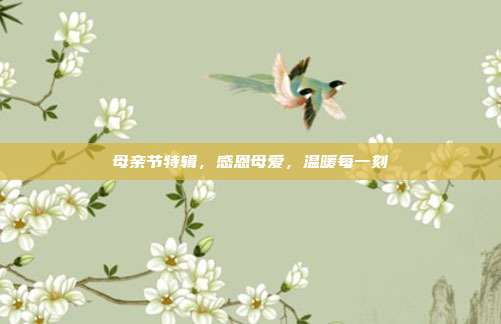 母亲节特辑,感恩母爱,温暖每一刻