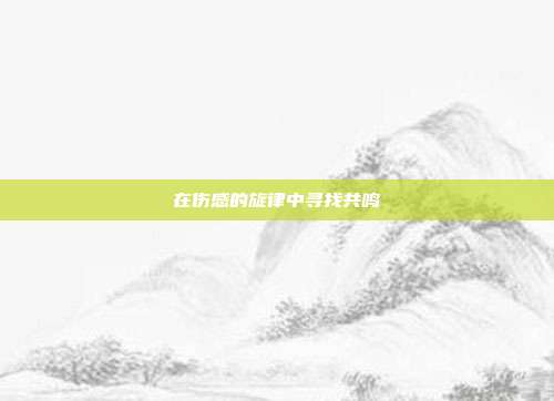 在伤感的旋律中寻找共鸣