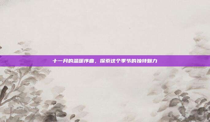 十一月的温暖序曲,探索这个季节的独特魅力