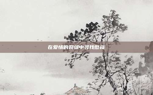 在爱情的裂缝中寻找慰藉
