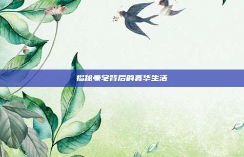 揭秘豪宅背后的奢华生活