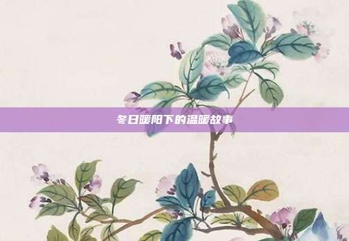 冬日暖阳下的温暖故事