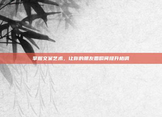 掌握文案艺术，让你的朋友圈瞬间提升格调
