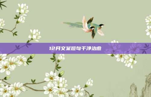 12月文案短句干净治愈