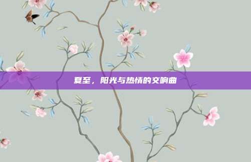 夏至，阳光与热情的交响曲