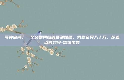 骂神宝典，一个文案网站的暴利秘籍，我靠它月入十万，却差点被封号-骂神宝典