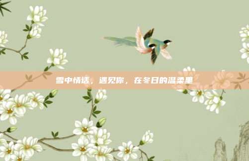 雪中情话,遇见你,在冬日的温柔里