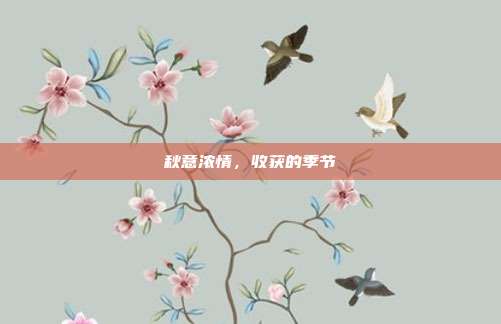 秋意浓情，收获的季节