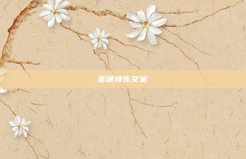 圣诞快乐文案