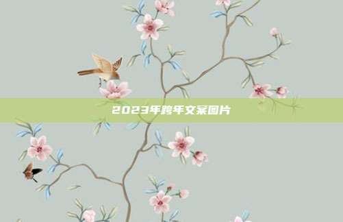 2023年跨年文案图片