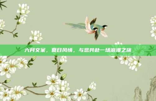 六月文案,夏日风情,与您共赴一场浪漫之旅