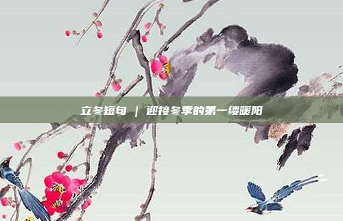 立冬短句 | 迎接冬季的第一缕暖阳