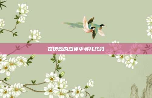 在伤感的旋律中寻找共鸣