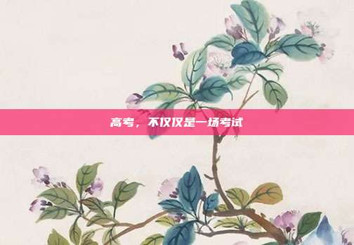 高考,不仅仅是一场考试