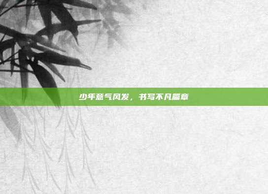 少年意气风发,书写不凡篇章