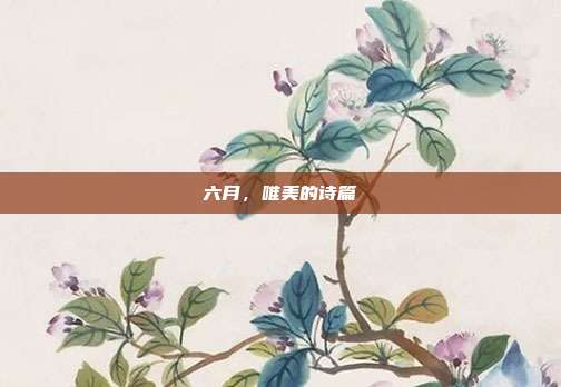 六月,唯美的诗篇