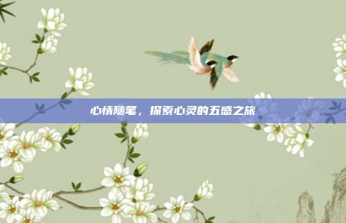 心情随笔,探索心灵的五感之旅